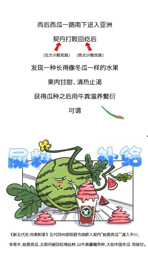 吃瓜地理历史,探寻历史长河中的瓜界传奇