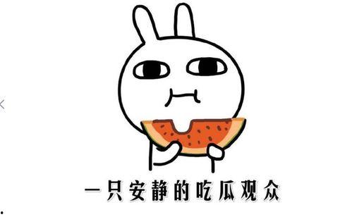 吃瓜群众 由来简介,揭秘网络围观文化的兴起
