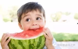 天气热吃瓜说说,清凉一“瓜”——探寻解暑吃瓜的乐趣