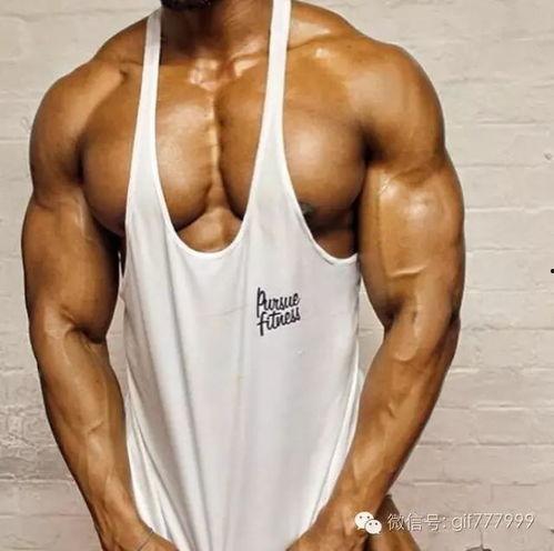 免费吃瓜腹肌男,腹肌男生的免费吃瓜盛宴