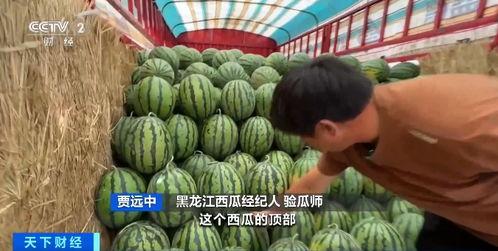 荣华吃瓜全文,揭秘娱乐圈背后的真相与八卦