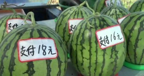 都昌吃瓜新闻,揭秘背后真相与网络舆论风暴