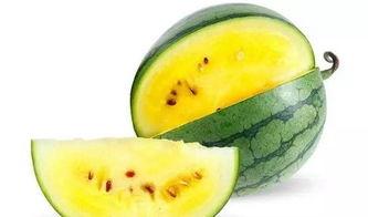 潍坊科技吃瓜视频,揭秘科技圈那些鲜为人知的幕后故事