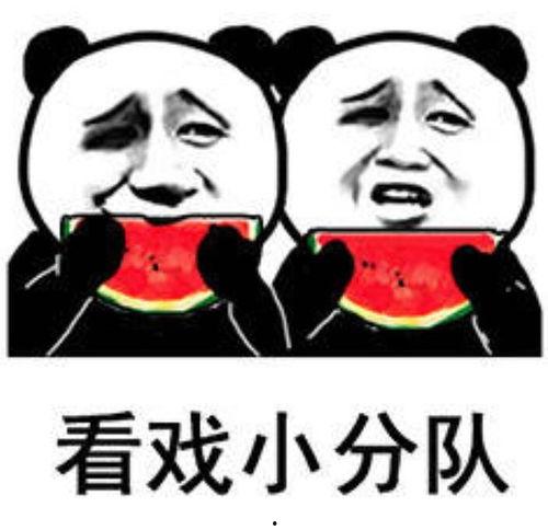 安排吃瓜,跟随安排，品味生活百味