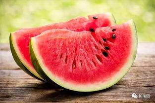 吃瓜解暑,吃瓜解暑，清凉一夏