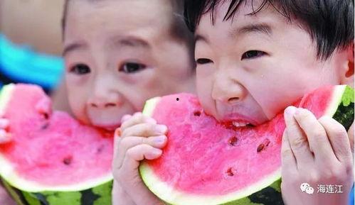 大力吃瓜版,揭秘大力吃瓜版背后的故事与传奇