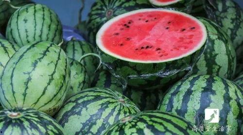 吃瓜24,吃瓜24，带你领略明星幕后故事