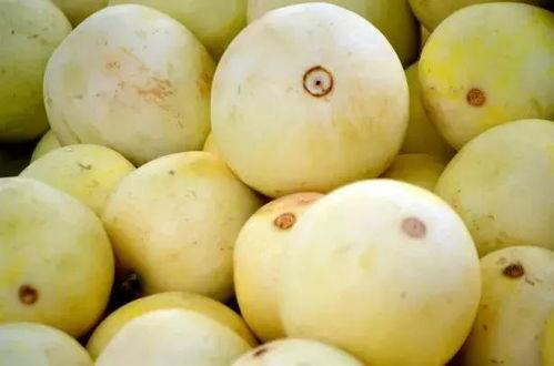 网络吃瓜的弊端,狂欢背后的隐忧与反思