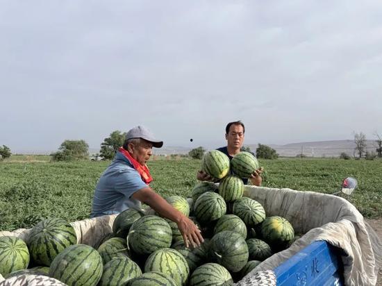 吃瓜巅峰第一,揭秘网络热议背后的真相与趣味