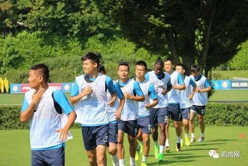 带你吃瓜挑战男足系列,男足系列挑战背后的故事与真相