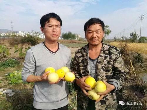 姐妹们行动吃瓜群众,揭秘幕后真相