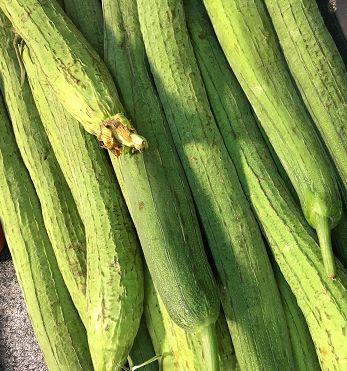 根瓜可以怎么吃,解锁健康美味新体验