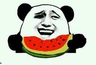 吃瓜吃了吗,揭秘娱乐圈的甜蜜与苦涩