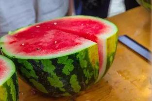 山东吃瓜吃到自己学校,山东学子意外“吃瓜”竟吃到自家校园风云