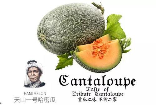 qq吃瓜号推荐,从QQ吃瓜号看娱乐圈幕后风云