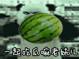 吃瓜骑友,揭秘骑行圈的那些趣闻轶事