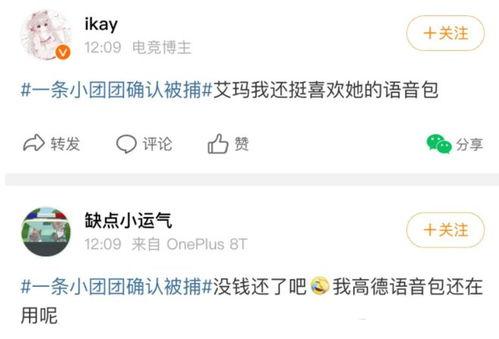 吃瓜群众的语音,揭秘娱乐圈最新八卦风云