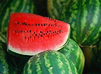 网文瓜孕妇可以吃吗,孕妇能否安心享用“瓜”？揭秘孕期饮食安全指南