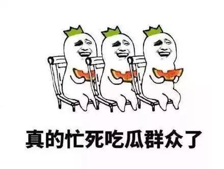 自己吃瓜群众,吃瓜群众视角下的娱乐圈风云录