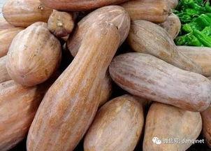 梦到买了方瓜吃,方瓜美食之旅