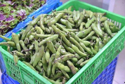 丹阳吃瓜事件,一场网络狂欢背后的真相与反思