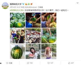 如何打开吃瓜网站,轻松开启你的娱乐盛宴之旅