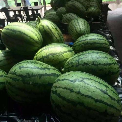 西昌7度吃瓜视频,一场夏日清凉的视觉盛宴