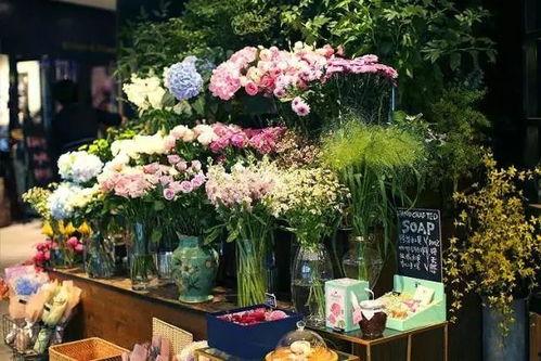 献县花店吃瓜,吃瓜群众的温馨聚集地