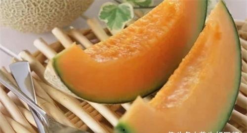 吃哈密瓜招标,招标开启，共赴甜蜜之旅